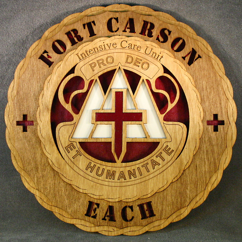 Fort Carson Colorado ICU BU